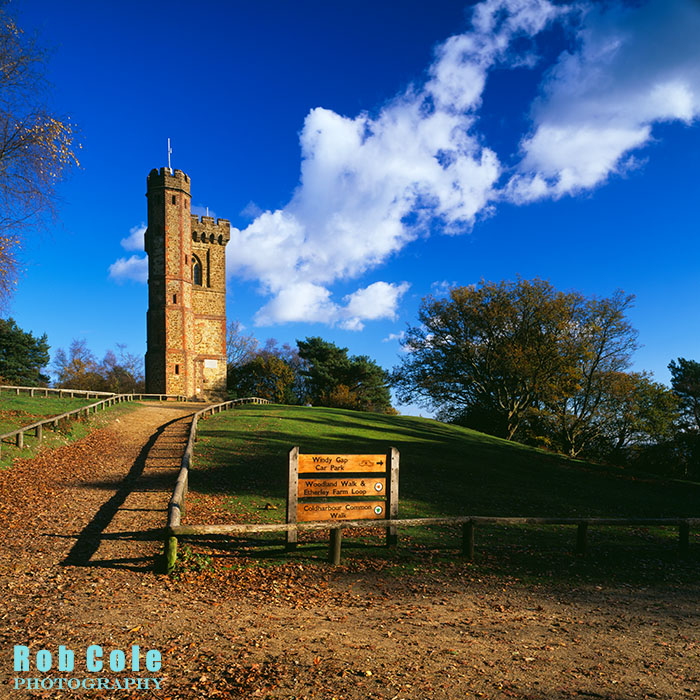 Autumn at Leith Hill tower