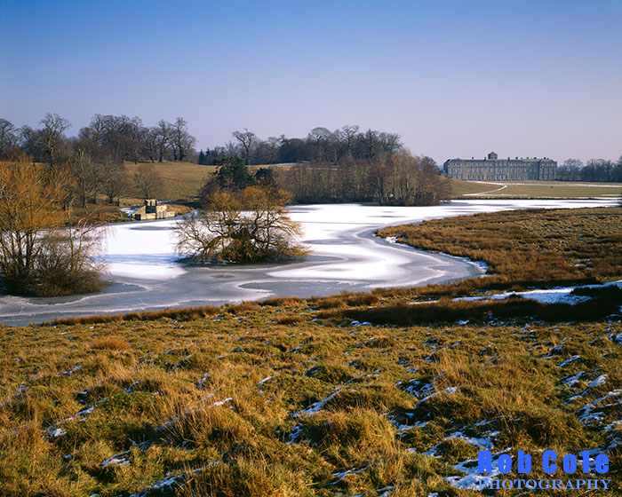 Petworth Park in winter