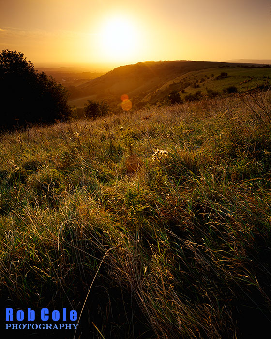 A hazy late summer sunrise at Ditchling Beacon