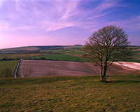 A view northwards from Cissbury Ring shortly before sunset