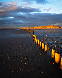 Wooden posts on West Wittering beach at sunset in winter