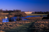 A bright crisp autumn afternoon in Petworth Park