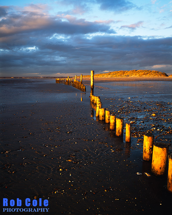 Wooden posts on West Wittering beach at sunset in winter