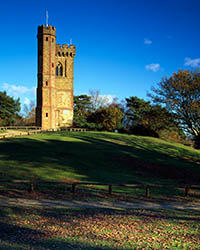 The tower on Leith Hill