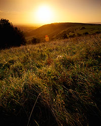 A hazy late summer sunrise at Ditchling Beacon