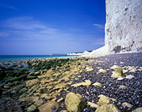 The brilliant white cliffs of the Seven Sisters at Brirling Gap